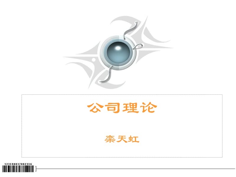 公司理论栾天虹.ppt_第1页