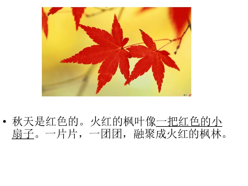 秋天的色彩_(作文课件).ppt_第3页