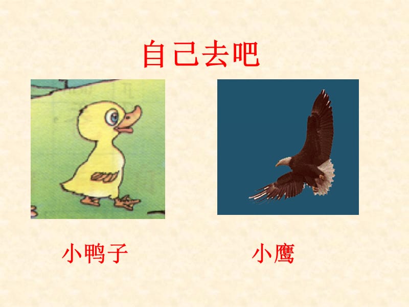 14自己去吧 (2).ppt_第2页