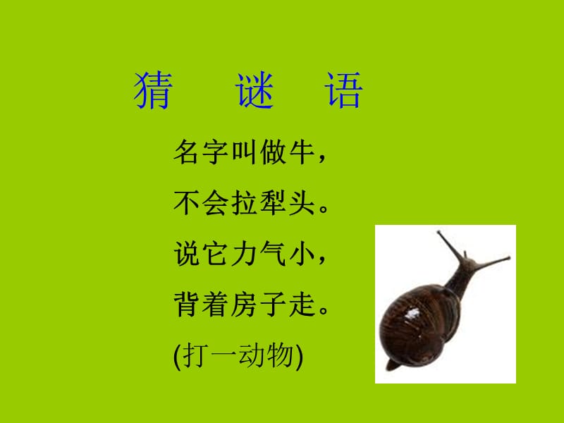 《蜗牛的奖杯》课件(苏教版二年级语文下册课件) (2).ppt_第2页