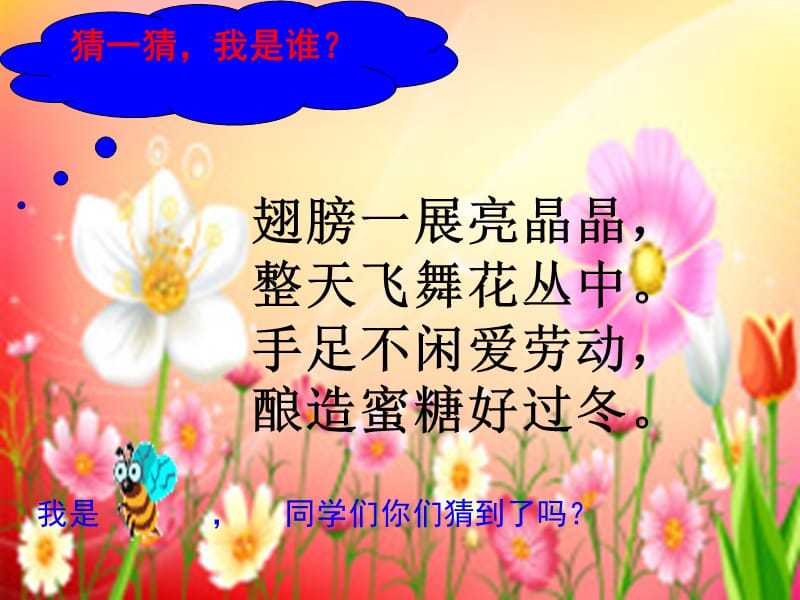 蜜蜂引路,ppt.ppt_第2页