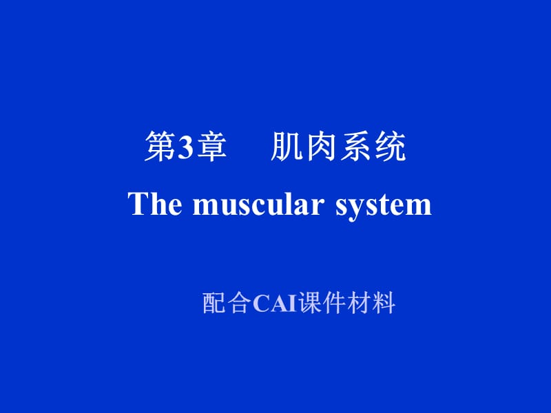 第3章肌肉系统Themuscularsystem.ppt_第1页