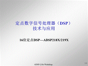 定点数字信号处理器DSP技术与应用.ppt
