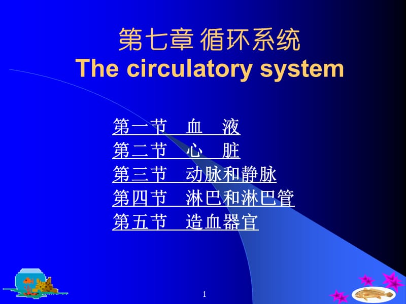 第七章循环系统Thecirculatorysystem.ppt_第1页