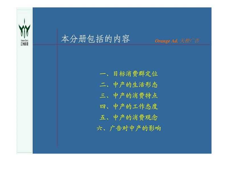 江南新苑客户群分析.ppt_第2页