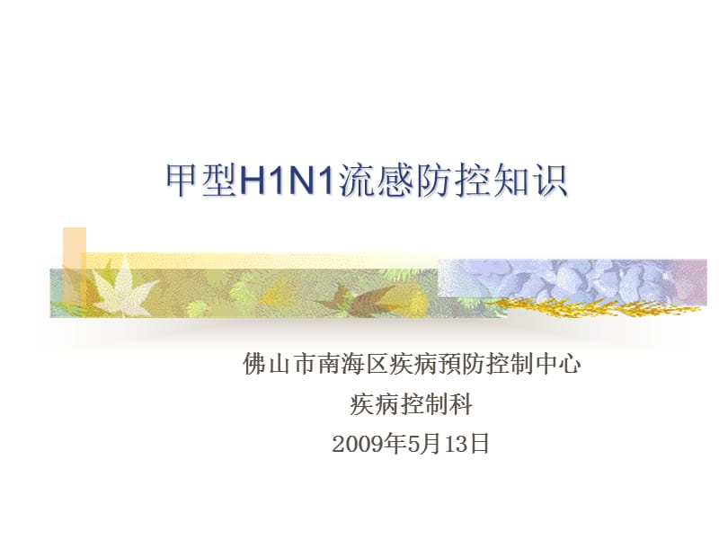 甲型H1N1流感防控知识.ppt_第1页