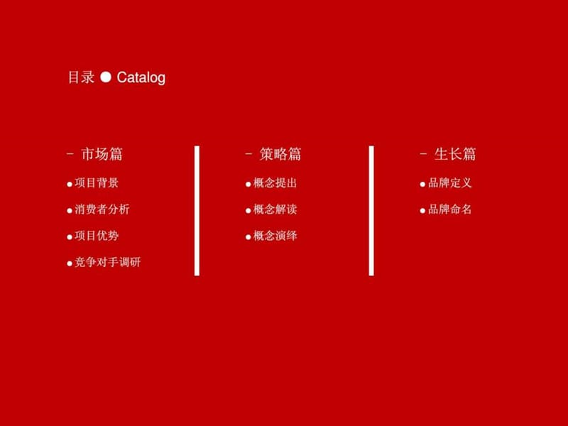 新项目开发策划方案(d定位篇)-火焰鱼.ppt_第2页