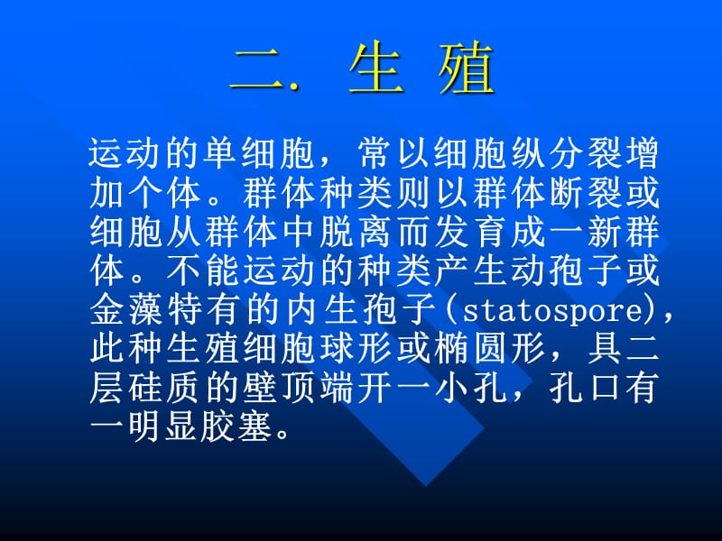 第四金藻门.ppt_第3页