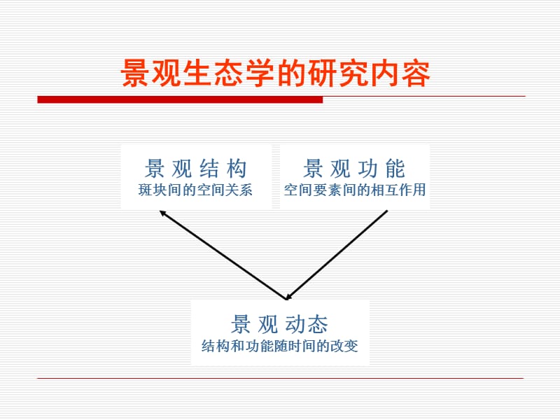 第二章景观结构.ppt_第2页