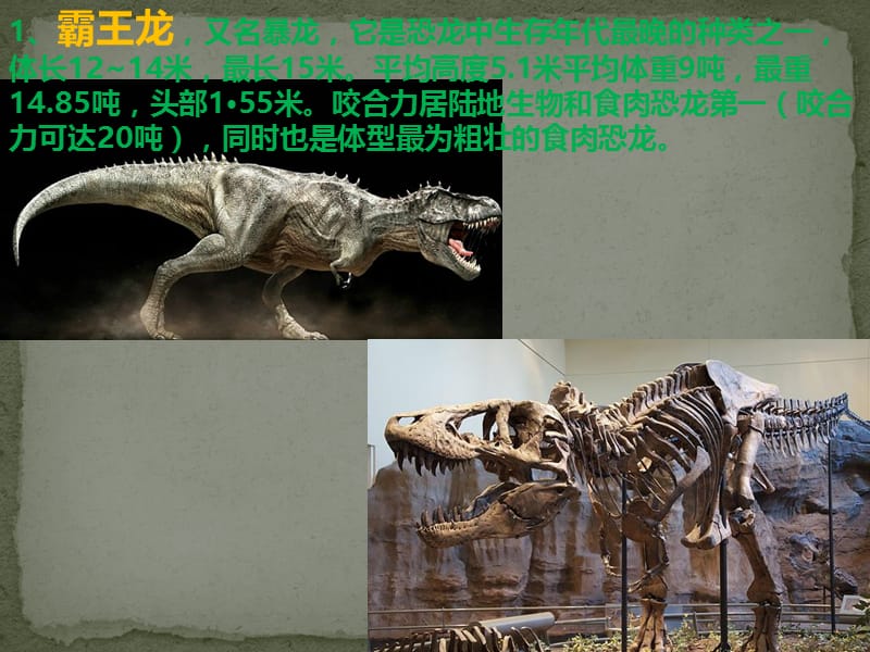 常见的恐龙图片及骨骼化石.ppt_第1页