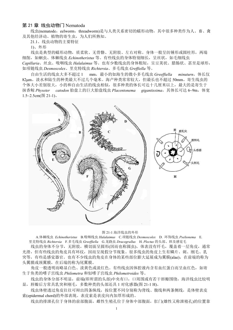 海洋生物学-无脊椎动物21-26.doc_第1页