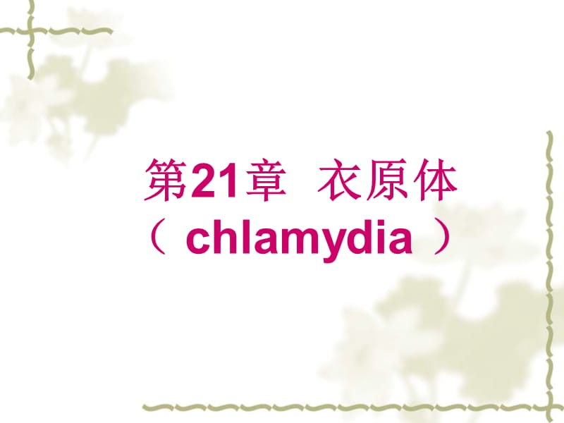 第21章衣原体chlamydia.ppt_第1页