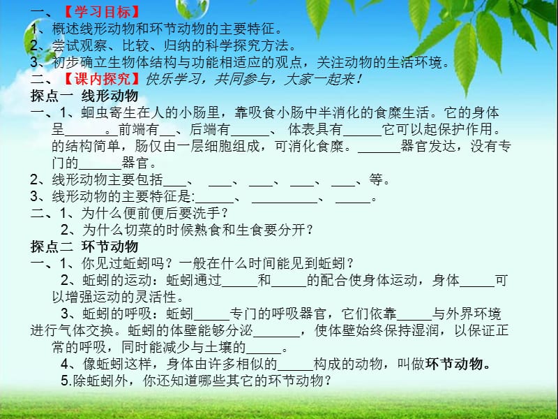 八年级上人教线形动物和环节动物.ppt_第2页