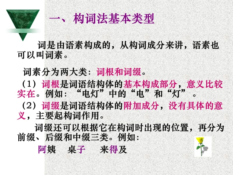 了解现代汉语词语构造的基本类型分析各种词.ppt_第2页