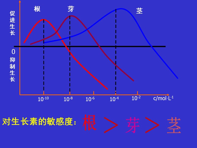 第节生长素的生理作用.ppt_第3页