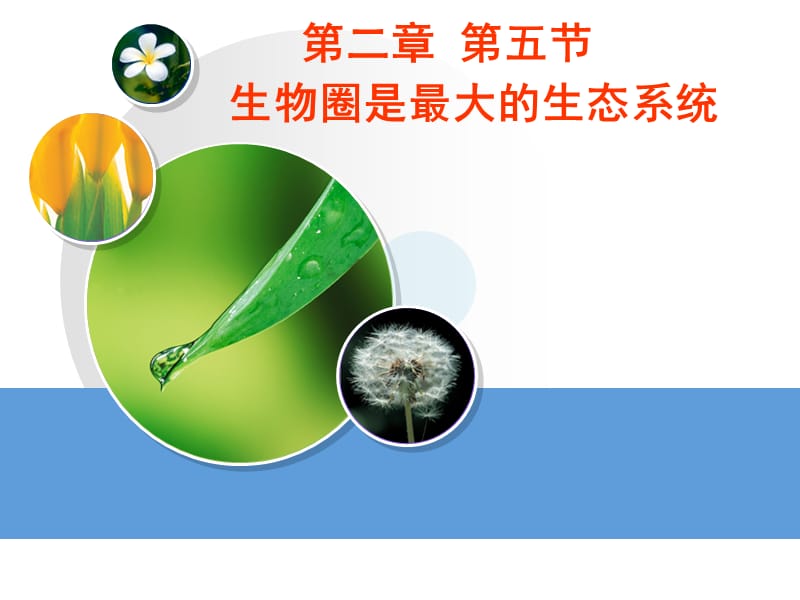 第五节生物圈是最大的生态系统.ppt_第1页