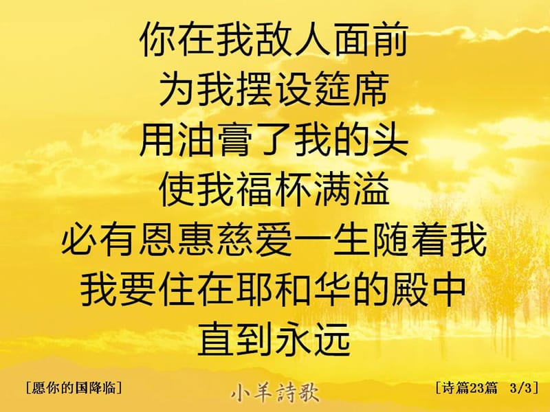 简体中文诗篇23篇13.ppt_第3页
