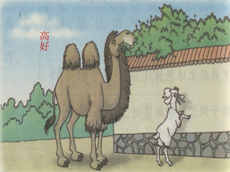 骆驼和羊3.ppt_第2页