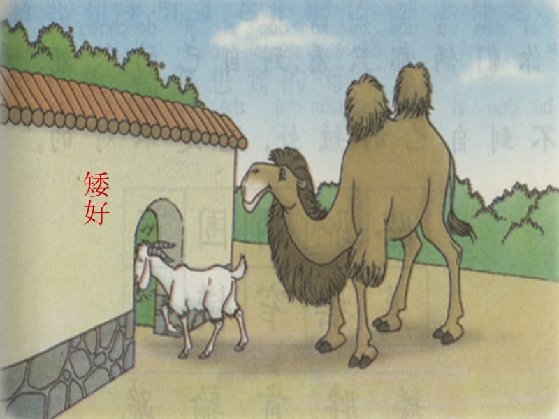骆驼和羊3.ppt_第3页