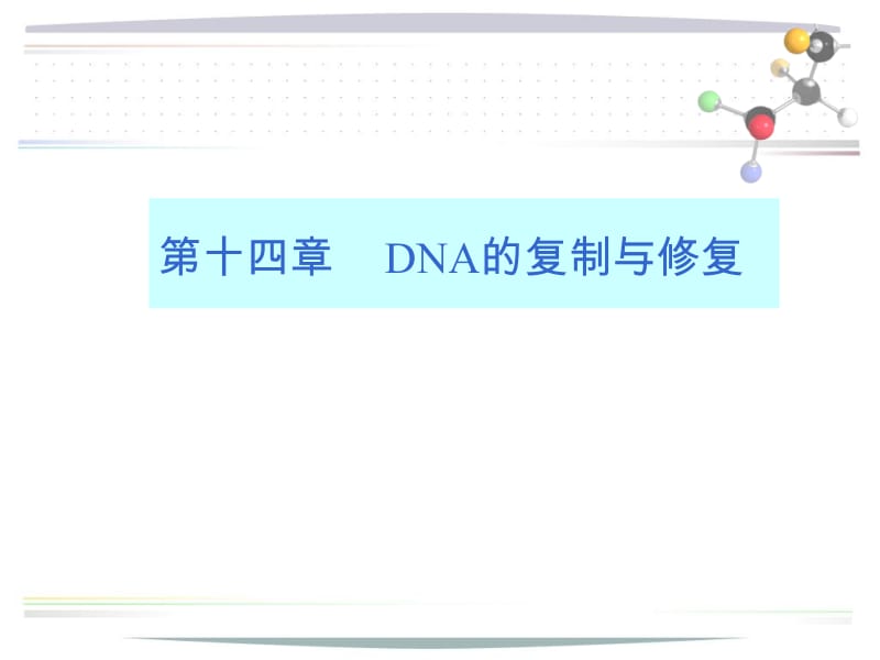 14DNA的复制、RNA转录.ppt_第2页
