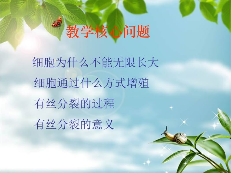 人教版教学课件细胞增殖的过程课件.ppt_第2页