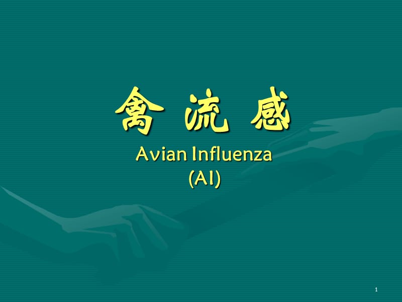 禽流感AvianInfluenzaAI.ppt_第1页