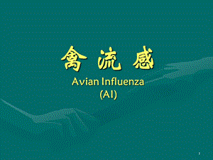 禽流感AvianInfluenzaAI.ppt