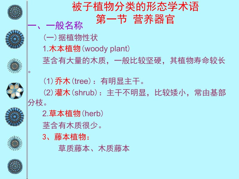 11被子植物分类的形态学术语.ppt_第1页