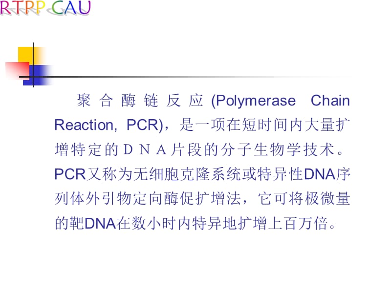 PCR原理及应用.ppt_第2页