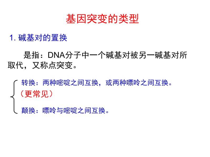 04基因突变类型、损伤修复.ppt_第2页