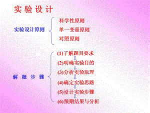 实验设计解题步骤.ppt