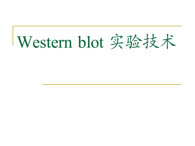 westernblot精华.ppt_第1页