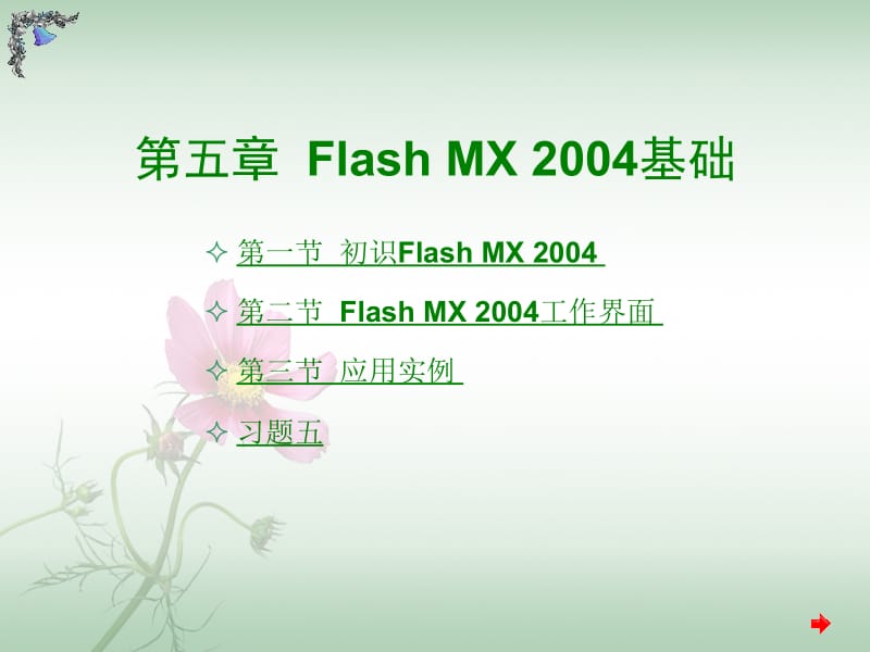 FlashMX2004基础.ppt_第1页