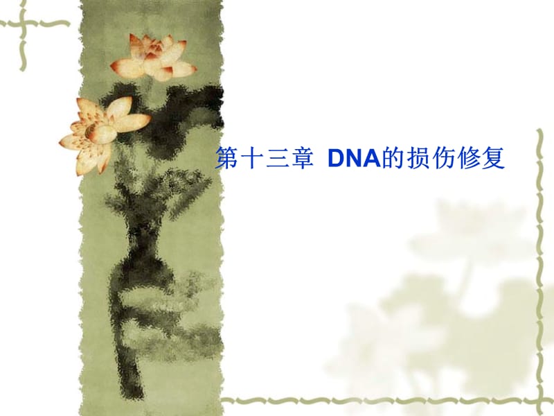 第十三部分DNA的损伤修复教学课件.ppt_第1页