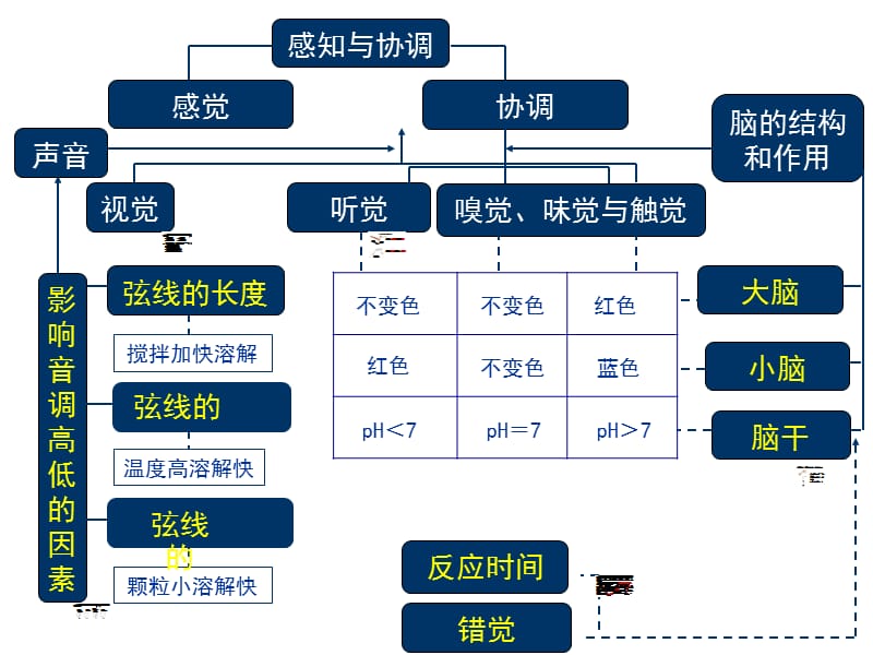 感知与协调.ppt_第2页