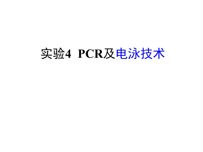实验四+PCR及电泳技术.ppt_第1页