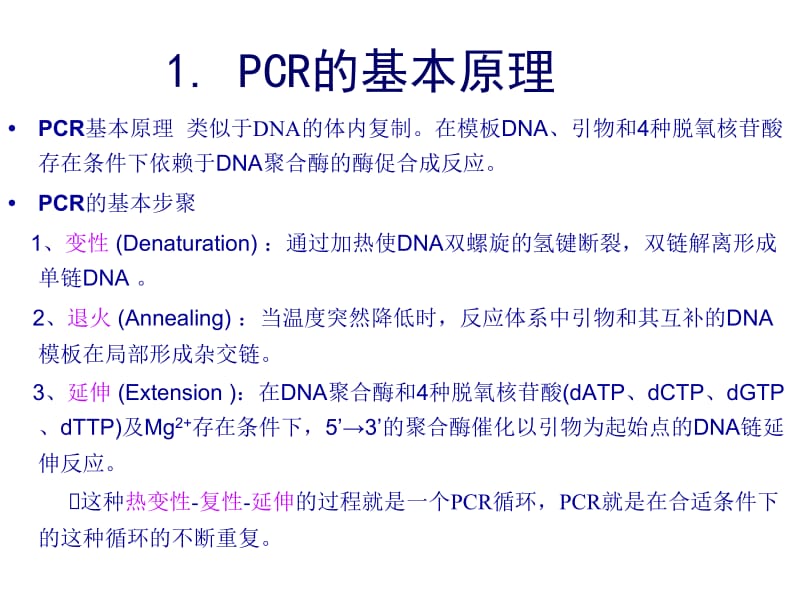 实验四+PCR及电泳技术.ppt_第2页