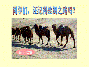 9和田的维吾尔族ppt.ppt