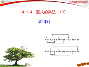 14.1.4整式的乘法第3课时课件.ppt