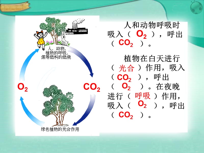 二氧化碳的制取的研究1.ppt_第2页