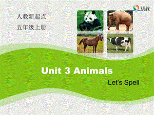 人教版(新起点)英语五上Unit 3《Animals》(Let’s Spel.ppt