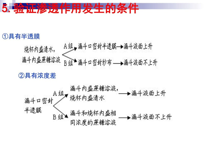 人教版 必修1 第4章第1节物质跨膜运输的实例 课件 (共(4).ppt_第3页