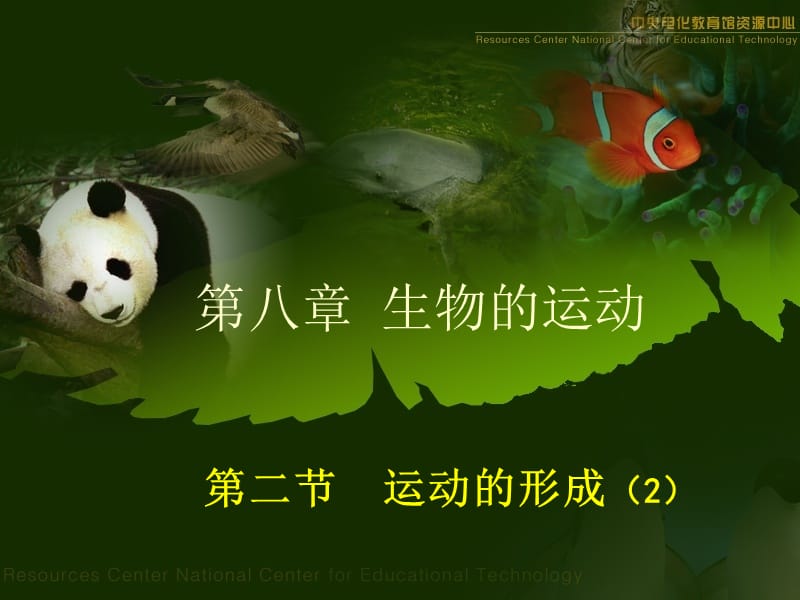 第二节运动的形成（第二课时）.ppt_第1页