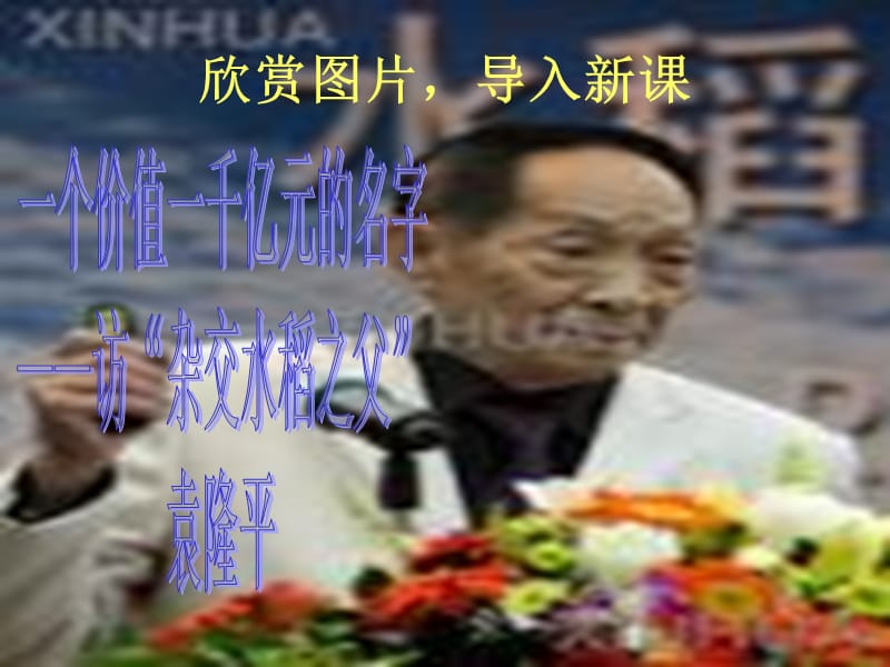 一个价值一亿元的名字-----访杂交水稻之父袁隆平.ppt_第2页