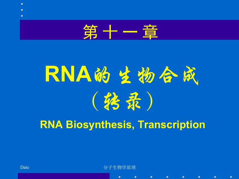 分子生物学原理--RNA的生物合成.ppt_第1页