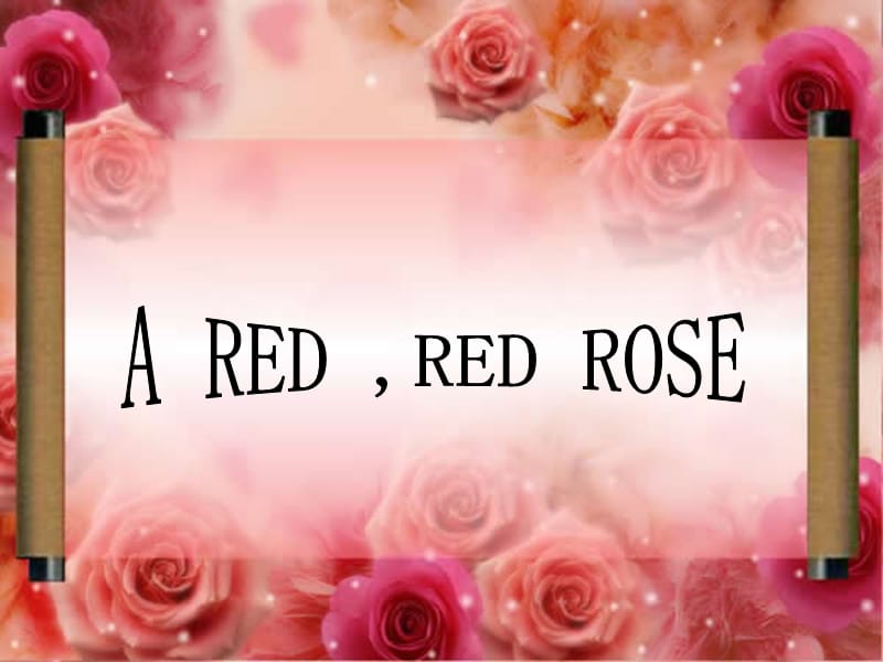 一朵红红的玫瑰.ppt_第2页