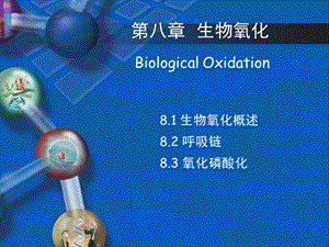 生物化学第五章-生物氧化-第一节-生物氧化概念.ppt