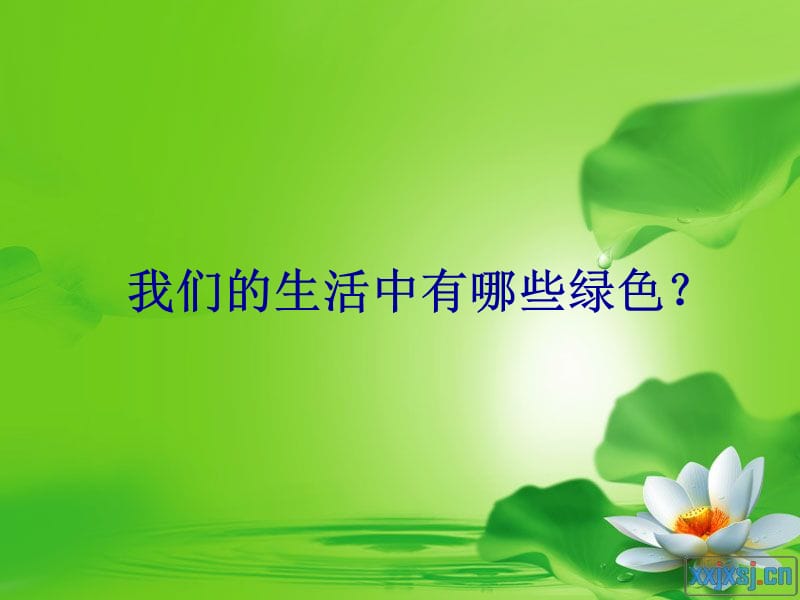 生活中的一抹绿2ppt.ppt_第2页