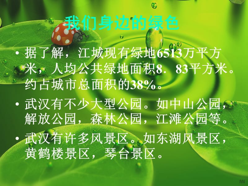 生活中的一抹绿2ppt.ppt_第3页