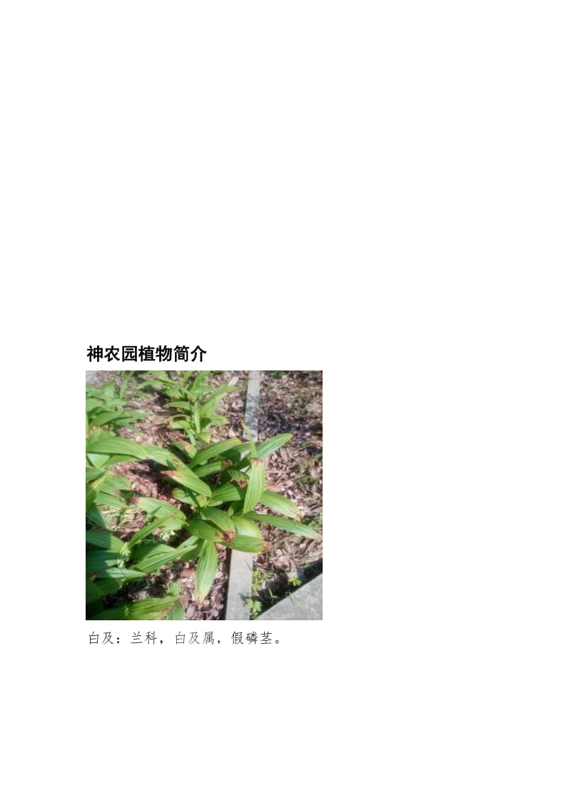 江中神农园植物介绍.doc_第1页